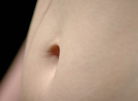 abdomen