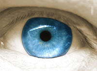 ojo